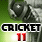 Cricket 11